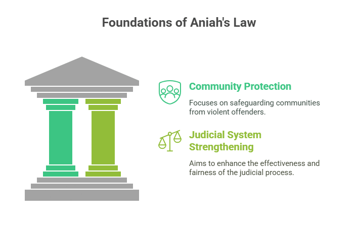 Aniah's Law
