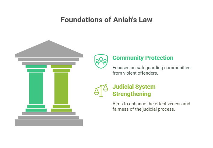Aniah's Law