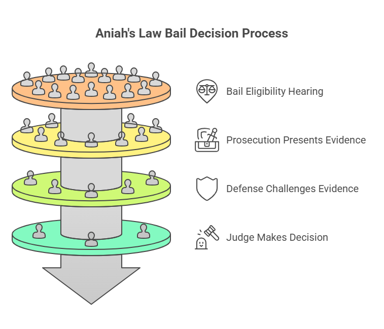 The Legal Process Under Aniah's Law