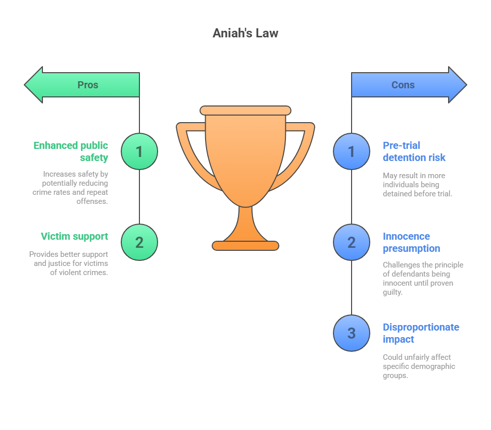 Concerns and Criticisms of Aniah's Law