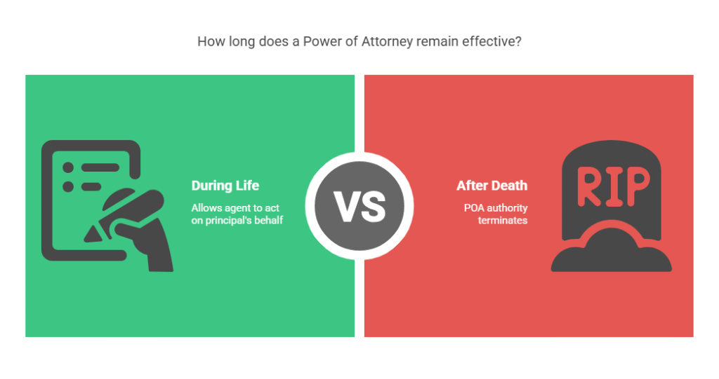 Power of Attorney