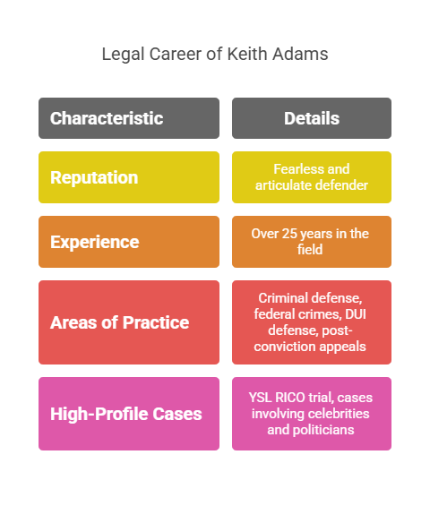 Legal Career Overview