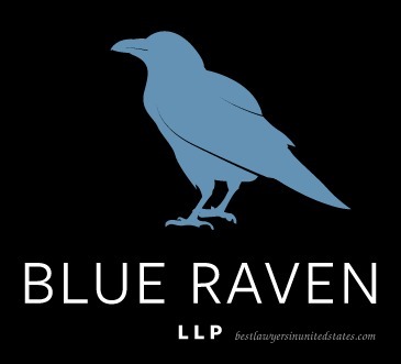 Steven M. Cohen, Founding Member at Blue Raven LLP