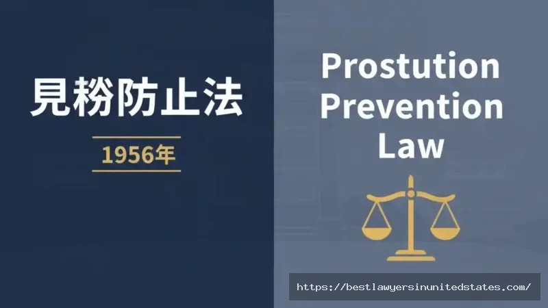 Japan Prostitution Prevention Law 1956 legal framework infographic